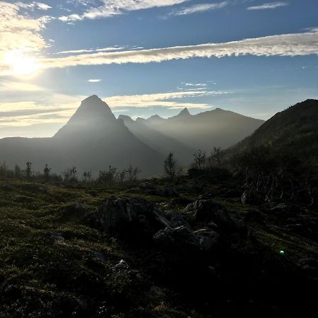 Fjordgard B Daire Tofta Dış mekan fotoğraf