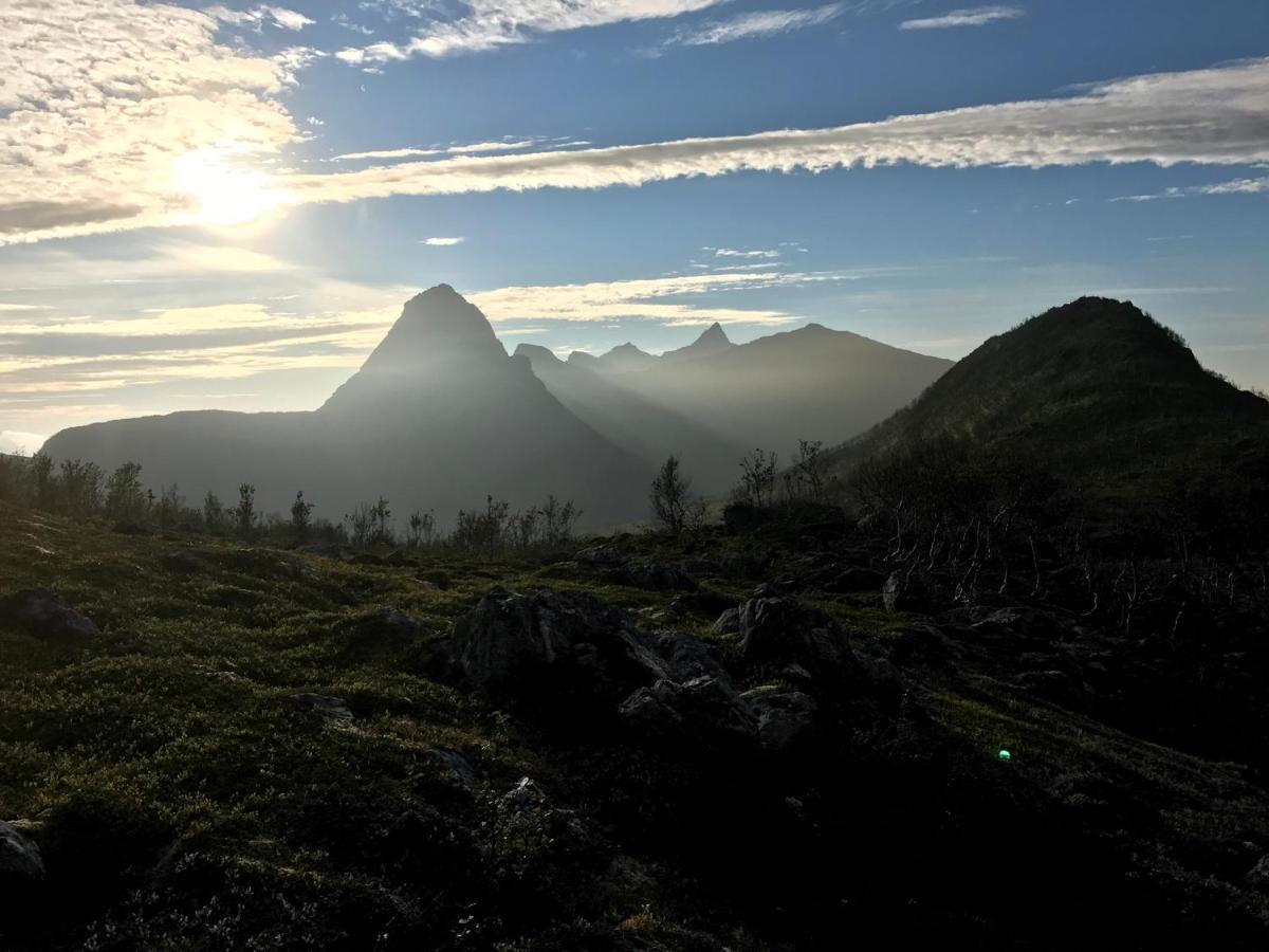 Fjordgard B Daire Tofta Dış mekan fotoğraf